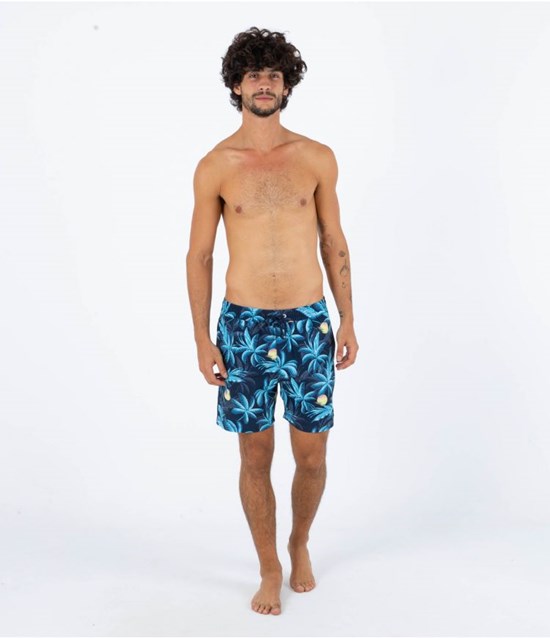 Hurley Boardshort 17" Cannoball Volley Obsidian | TMDWFE-149