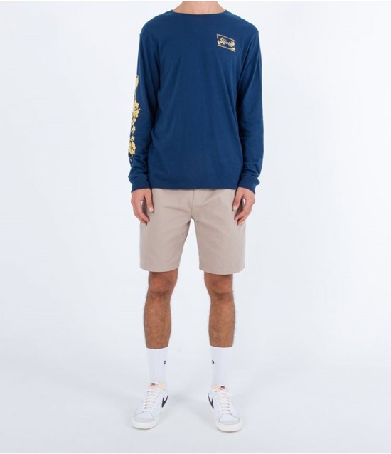 Hurley Walkshort 20" Pleasure Point Grises | XZFTPW-215
