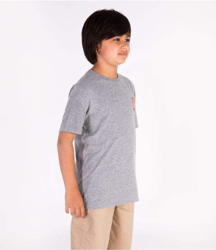 Hurley Fontez Ss - Boys – Tops Grises Oscuro | MJYXSE-064