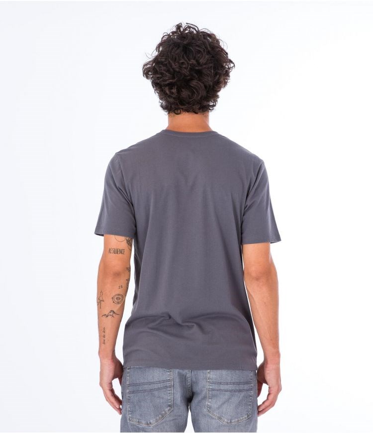 Hurley T-shirt Corta Sleeve Everyday Explore Reflector Grises | BLUVTW-951