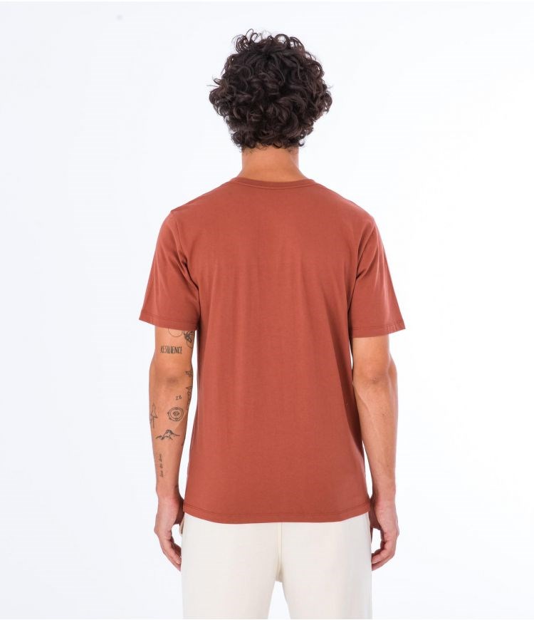 Hurley T-shirt Corta Sleeve Everyday Explore Reflector Zion Rust | IEXJRZ-897