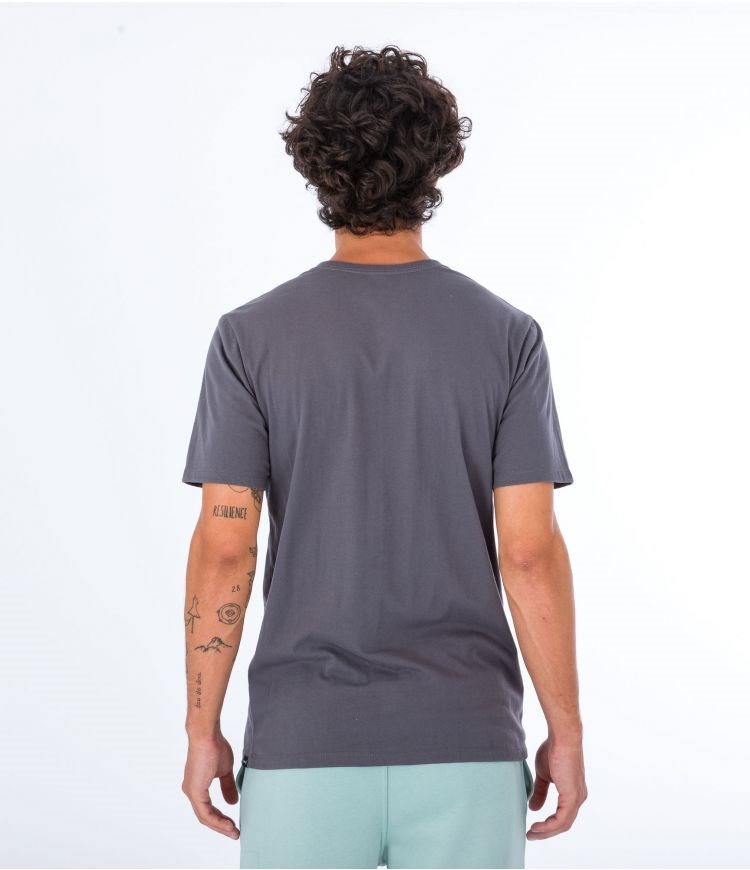 Hurley T-shirt Corta Sleeve Everyday Explore Mountain Man Grises | OTIJLV-813