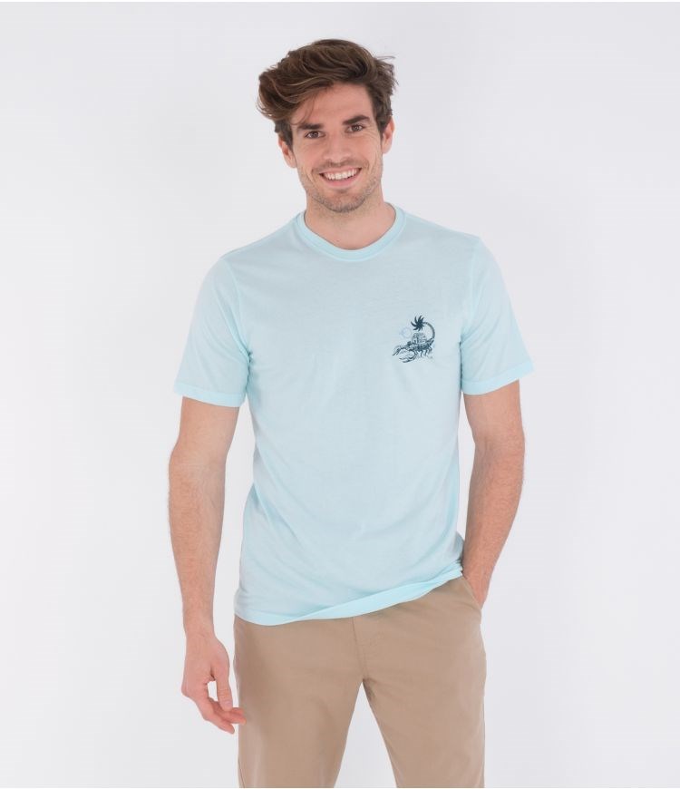 Hurley T-shirt Corta Sleeve Everyday Washed Poison + Palapas Teal Tinted Heather | ERKHZD-586