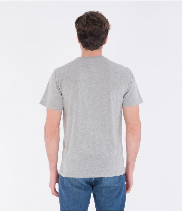 Hurley T-shirt Corta Sleeve Everyday Washed Core O&o Grises | OUBPVC-342