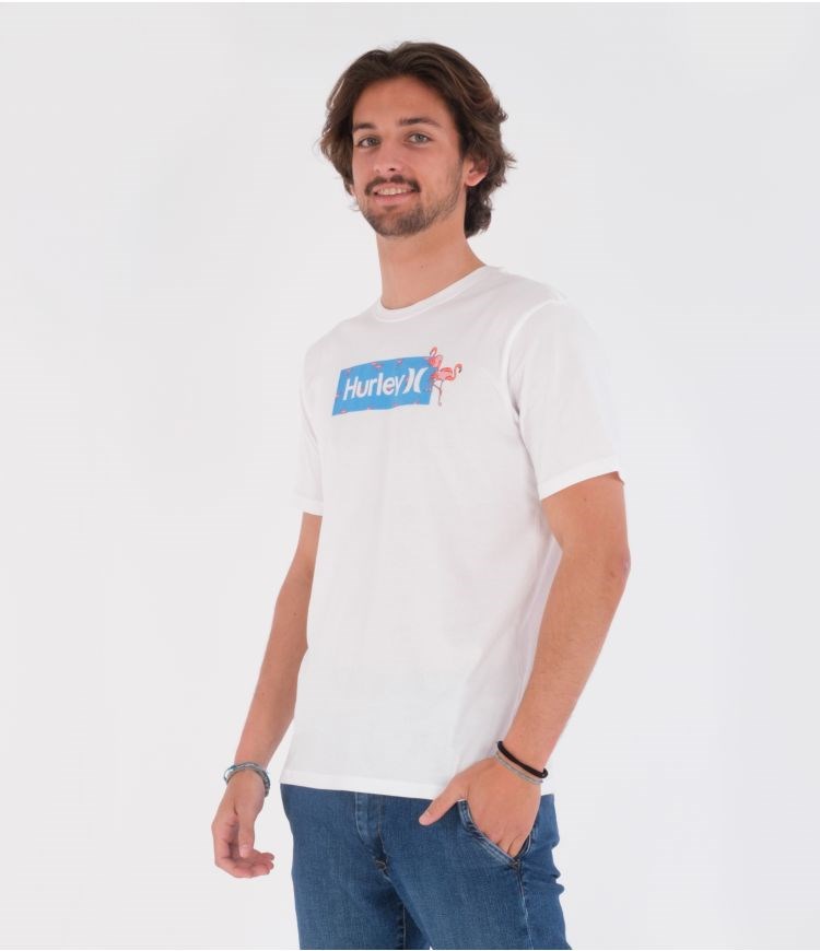 Hurley T-shirt Corta Sleeve Everyday Washed Disty Box Blancos | XAZPUJ-935