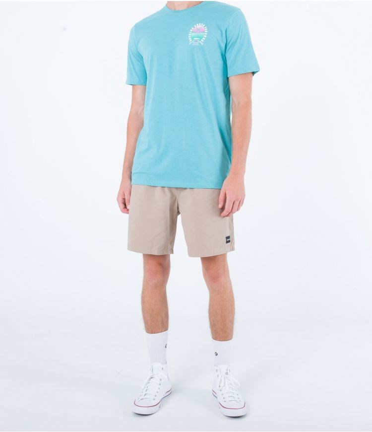 Hurley Walkshort 28\
